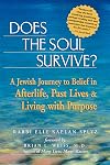 Does the Soul Survive?: A Jewish Journey to Belief in Afterlife, Past Lives & Living with Purpose