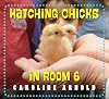 Hatching Chicks in Room 6