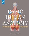 Basic Human Anatomy: An Essential Visual Guide for Artists