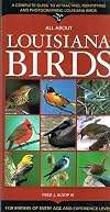 All about Louisiana Birds