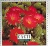 Cacti (Let's Investigate: Plants)