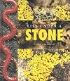 Life Under a Stone (Halfmann, Janet. Lifeviews.)