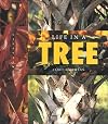 Life in a Tree (Halfmann, Janet. Lifeviews.)