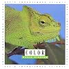 Color (Let's Investigate: Science)