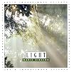 Light (Let's Investigate: Science)