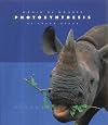 Photosynthesis (World of Wonder) 572.46 (Non-Fiction - Orange Label) [Hardback]