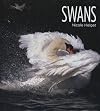 Swans (Living Wild)