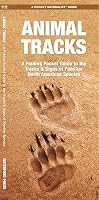 Animal Tracks: A Folding Pocket Guide to the Tracks & Signs of Familiar North American Species