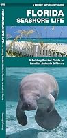 Florida Seashore Life: A Folding Pocket Guide to Familiar Animals & Plants