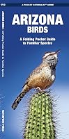 Arizona Birds: A Folding Pocket Guide to Familiar Species