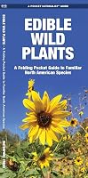 Edible Wild Plants: A Folding Pocket Guide to Familiar North American Species