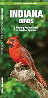 Indiana Birds: A Folding Pocket Guide to Familiar Species