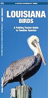 Louisiana Birds: A Folding Pocket Guide to Familiar Species