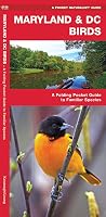 Maryland & DC Birds: A Folding Pocket Guide to Familiar Species