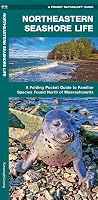 Northeastern Seashore Life: A Folding Pocket Guide to Familiar Coastal Species North of Massachusetts