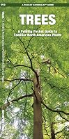 Trees: A Folding Pocket Guide to Familiar North American Plants