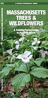 Massachusetts Trees & Wildflowers: A Folding Pocket Guide to Familiar Plants