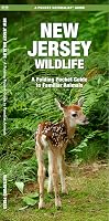 New Jersey Wildlife: A Folding Pocket Guide to Familiar Animals