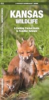 Kansas Wildlife: A Folding Pocket Guide to Familiar Animals