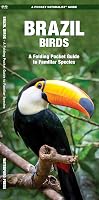Brazil Birds: A Folding Pocket Guide to Familiar Species