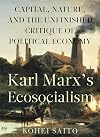 Karl Marx’s Ecosocialism: Capital, Nature, and the Unfinished Critique of Political Economy