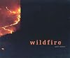 Wildfire