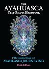 The Ayahuasca Test Pilots Handbook: The Essential Guide to Ayahuasca Journeying