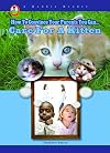 How to Convince Your Parents You Can... Care for a Kitten