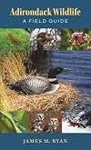 Adirondack Wildlife: A Field Guide
