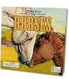 Horses (Groovy Tube Books)