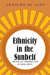 Ethnicity in the Sunbelt: Mexican Americans in Houston (University of Houston Series in Mexican American Studies, Sponsored by the Cente)