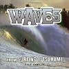 Waves: From Surfing to Tsunami