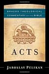 Acts (Brazos Theological Commentary on the Bible)