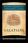 Galatians: (A Theological Bible Commentary from Leading Contemporary Theologians - BTC) (Brazos Theological Commentary on the Bible)