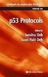 p53 protocols