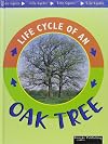 Oak Tree (Life Cycles)