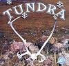 Tundra (Biomes of North America)