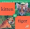 Kitten to Tiger (Discovery Library: Animals Growing Up)