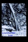 Cacophony