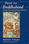 Path to Buddhahood: Teachings on Gampopa's JEWEL ORNAMENT OF LIBERATION