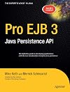 Pro EJB 3: Java Persistence API