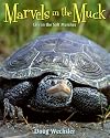 Marvels in the Muck: Life in the Salt Marshes