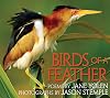 Birds of a Feather