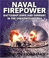 Naval Firepower: Battleship Guns and Gunnery in the Dreadnaught Era