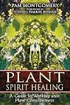 Plant Spirit Healing: A Guide to Working with Plant Consciousness