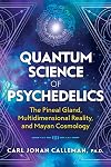 Quantum Science of Psychedelics: The Pineal Gland, Multidimensional Reality, and Mayan Cosmology