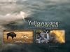 Yellowstone: Near, Far and Wild