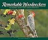 Remarkable Woodpeckers: Incredible Images and Characteristics