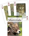Mammals of the Rocky Mountains Playing Cards (Nature's Wild Cards)