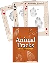 Animal Tracks of the Southwest: Your Way to Easily Identify Animal Tracks (Adventure Quick Guides)
